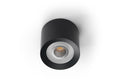LED Ceiling Spot RGBW Tree Antrasit